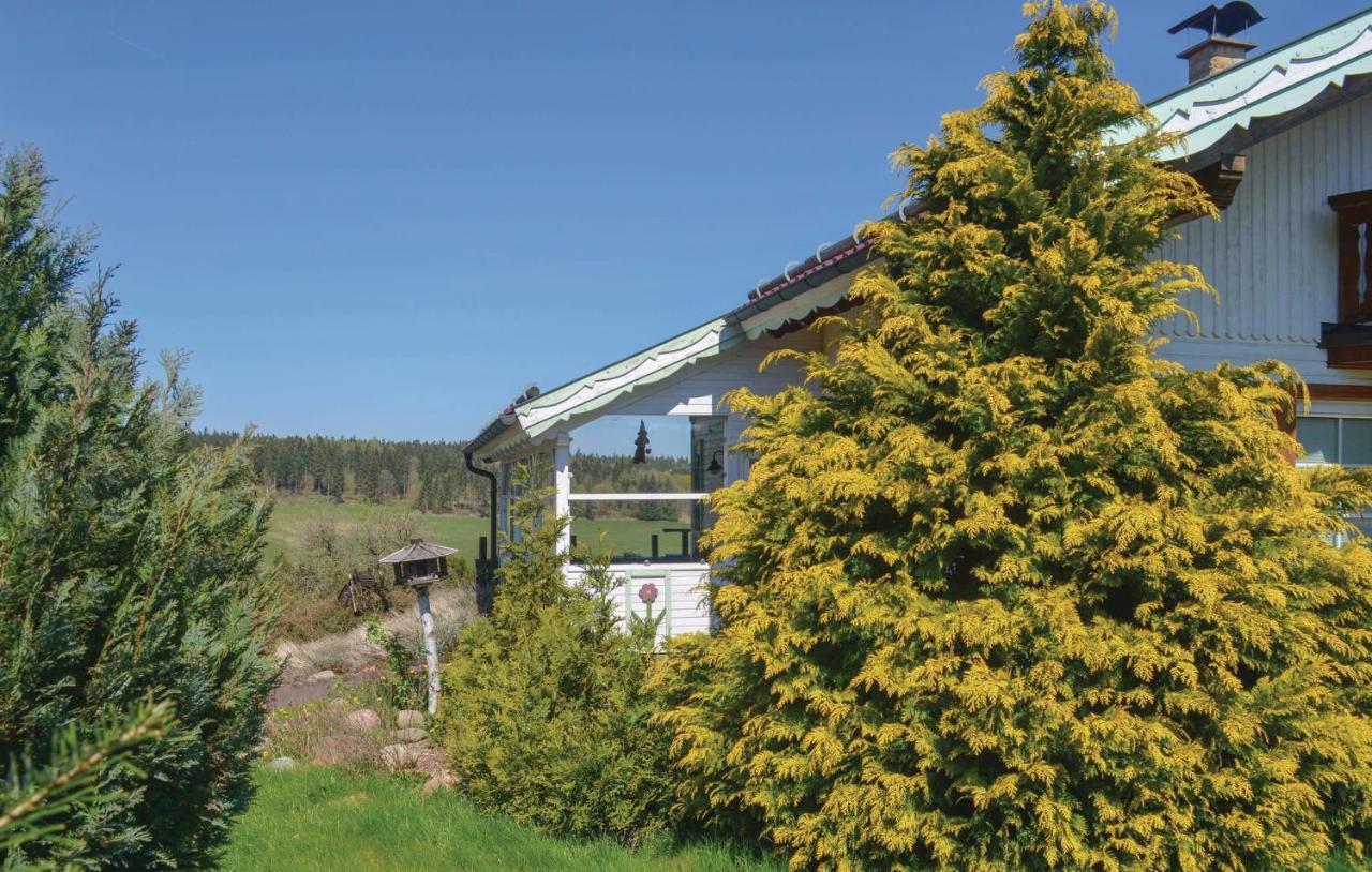 Galerie Haus Villa Braunlage Eksteriør bilde